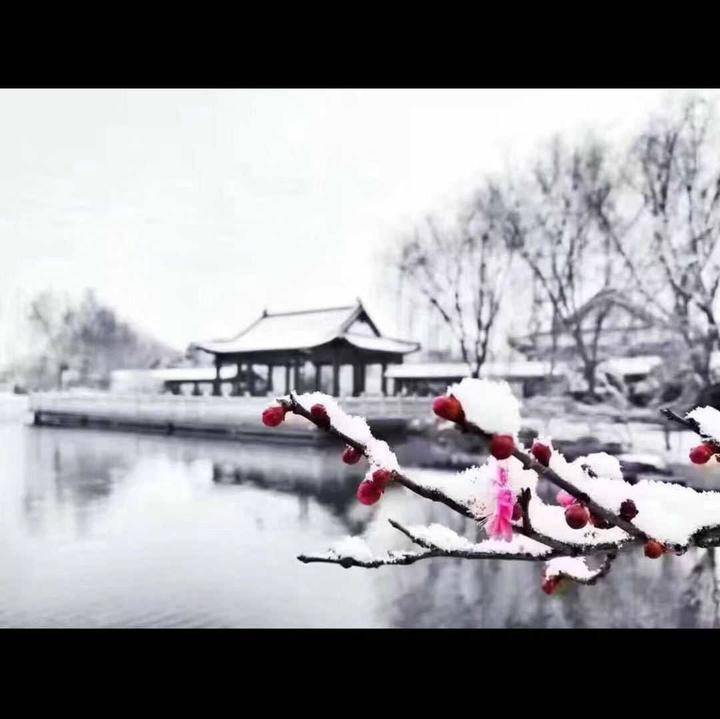 齐鲁晚报网-山东新闻门户 传播品质资讯